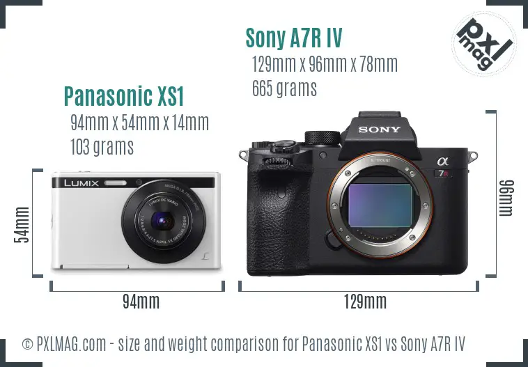 Panasonic XS1 vs Sony A7R IV size comparison