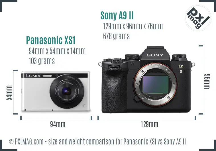 Panasonic XS1 vs Sony A9 II size comparison