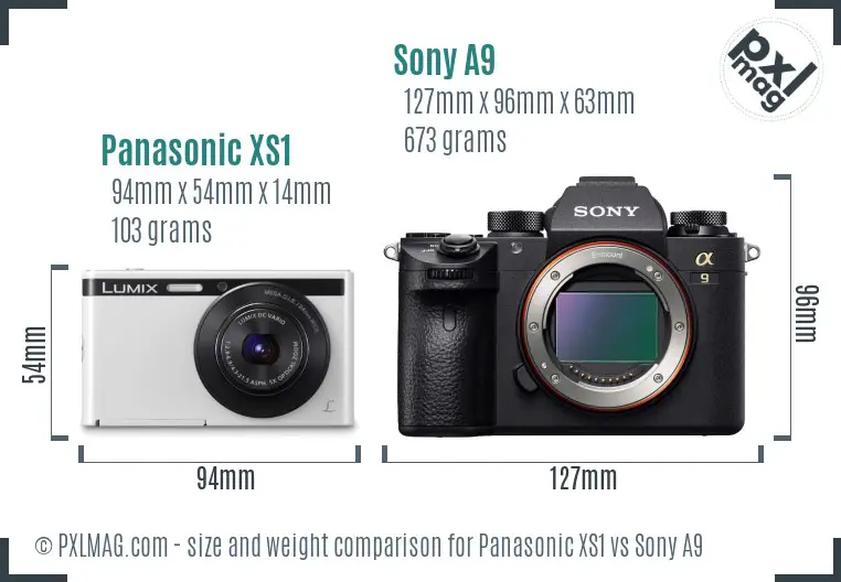 Panasonic XS1 vs Sony A9 size comparison Panasonic XS1 vs Sony A9 size comparison