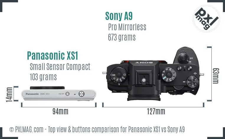 Panasonic XS1 vs Sony A9 top view buttons comparison Panasonic XS1 vs Sony A9 top view buttons comparison