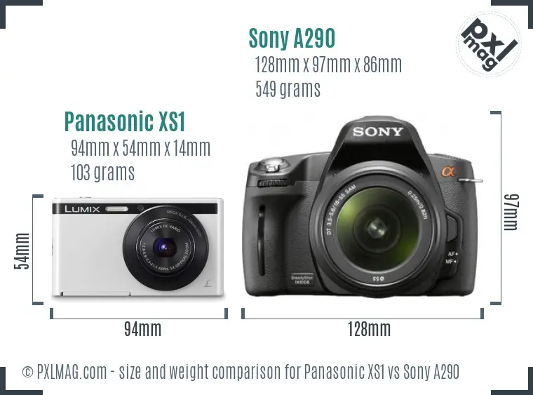 Panasonic XS1 vs Sony A290 size comparison Panasonic XS1 vs Sony A290 size comparison