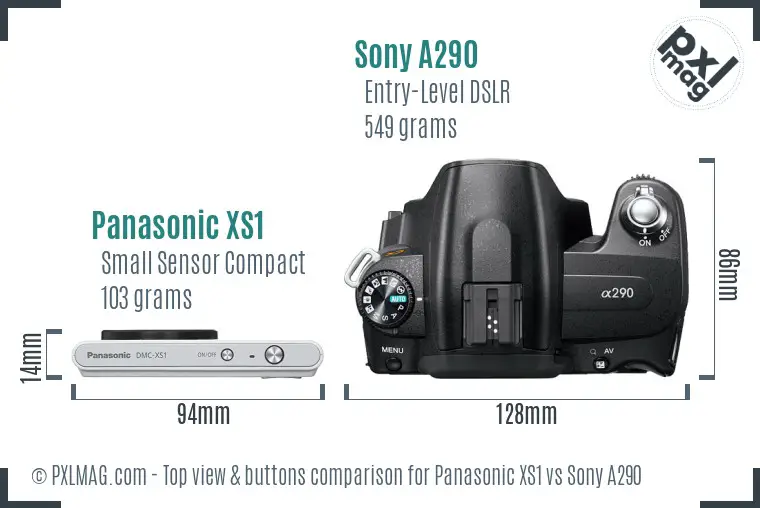 Panasonic XS1 vs Sony A290 top view buttons comparison Panasonic XS1 vs Sony A290 top view buttons comparison