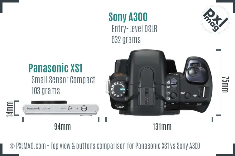 Panasonic XS1 vs Sony A300 top view buttons comparison