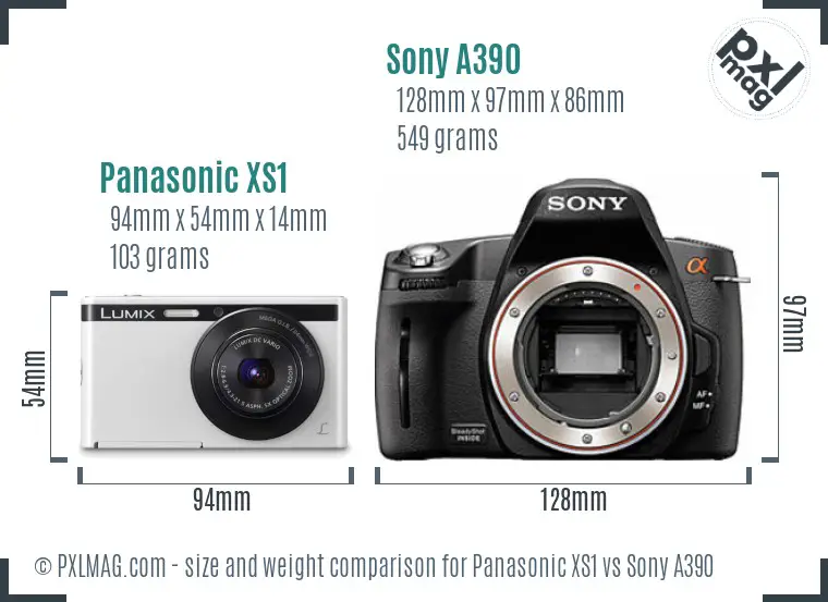 Panasonic XS1 vs Sony A390 size comparison Panasonic XS1 vs Sony A390 size comparison
