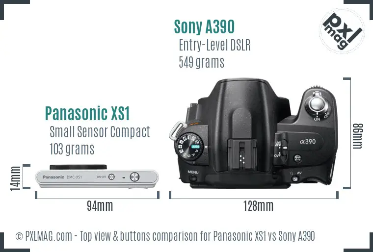 Panasonic XS1 vs Sony A390 top view buttons comparison Panasonic XS1 vs Sony A390 top view buttons comparison