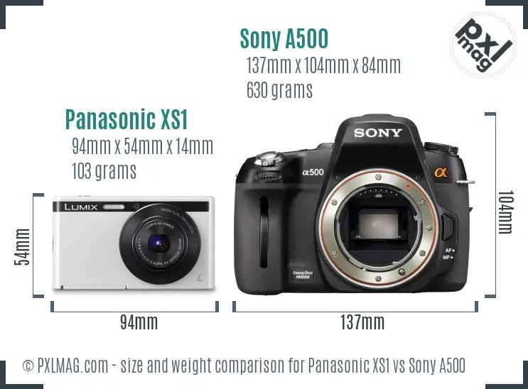 Panasonic XS1 vs Sony A500 size comparison