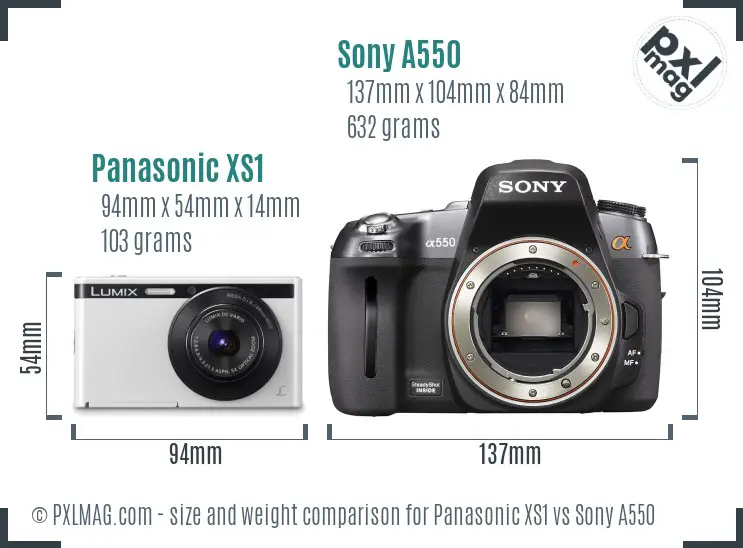 Panasonic XS1 vs Sony A550 size comparison Panasonic XS1 vs Sony A550 size comparison