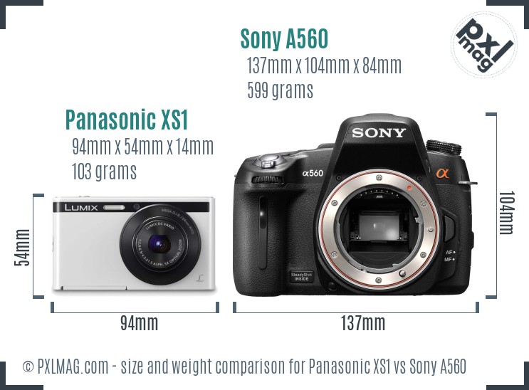 Panasonic XS1 vs Sony A560 size comparison Panasonic XS1 vs Sony A560 size comparison
