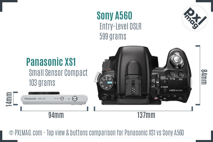 Panasonic XS1 vs Sony A560 top view buttons comparison