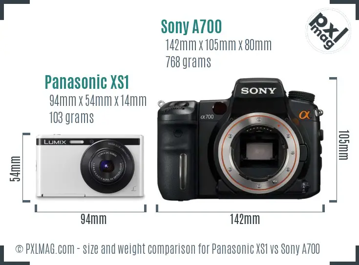 Panasonic XS1 vs Sony A700 size comparison