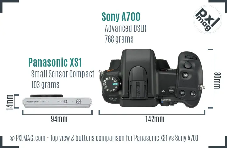 Panasonic XS1 vs Sony A700 top view buttons comparison
