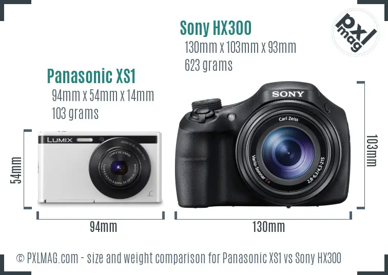 Panasonic XS1 vs Sony HX300 size comparison