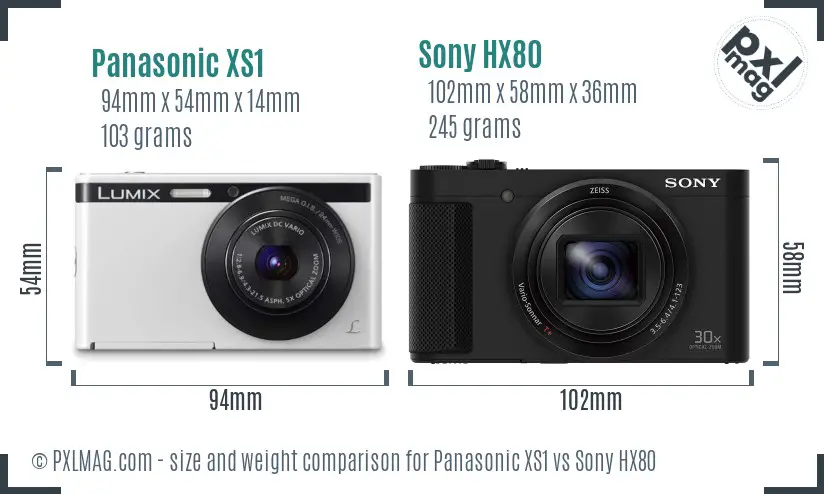 Panasonic XS1 vs Sony HX80 size comparison