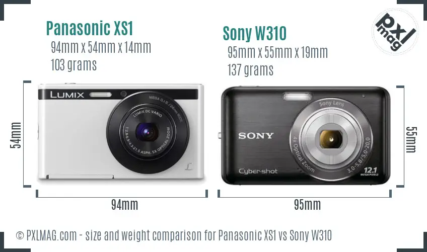 Panasonic XS1 vs Sony W310 size comparison Panasonic XS1 vs Sony W310 size comparison