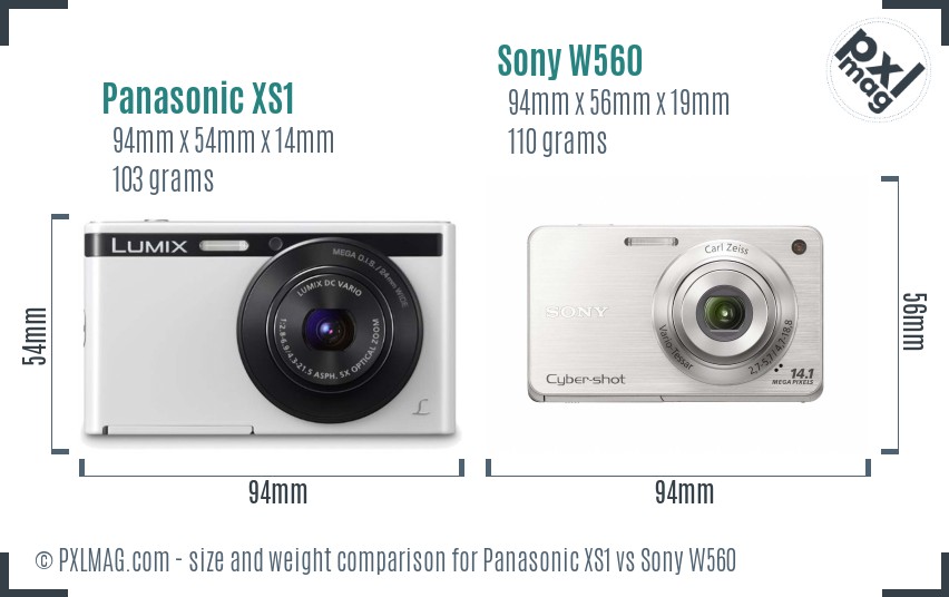 Panasonic XS1 vs Sony W560 size comparison Panasonic XS1 vs Sony W560 size comparison