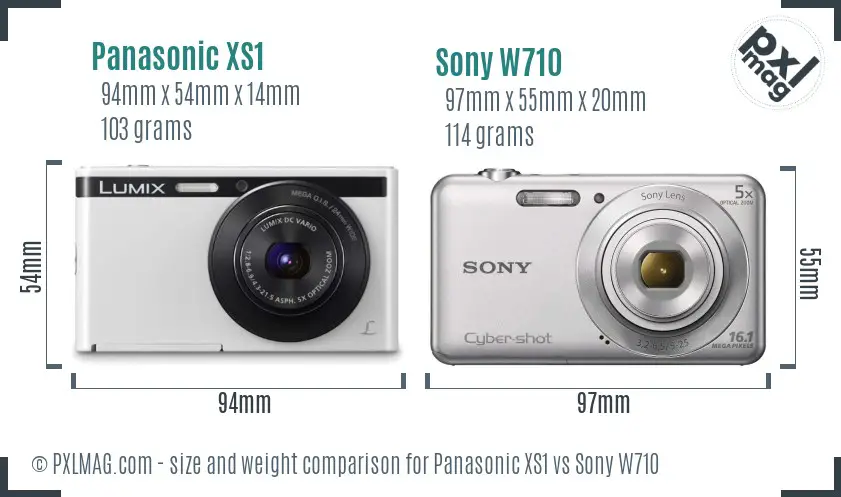 Panasonic XS1 vs Sony W710 size comparison