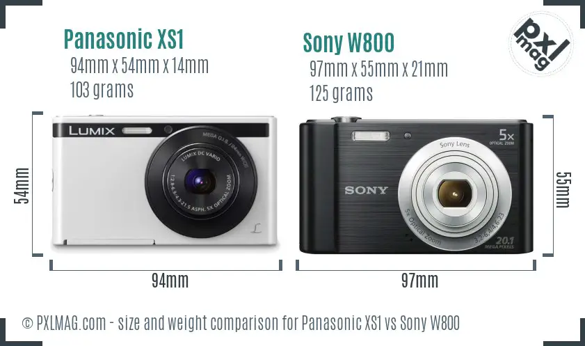 Panasonic XS1 vs Sony W800 size comparison