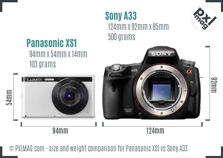 Panasonic XS1 vs Sony A33 size comparison