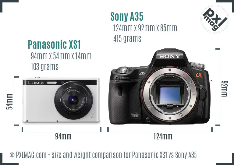 Panasonic XS1 vs Sony A35 size comparison
