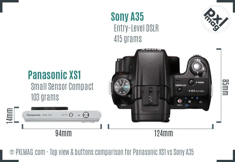 Panasonic XS1 vs Sony A35 top view buttons comparison