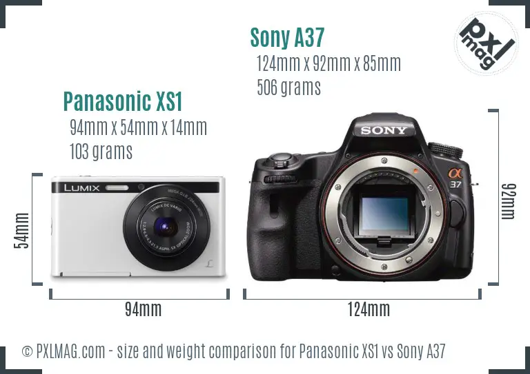 Panasonic XS1 vs Sony A37 size comparison