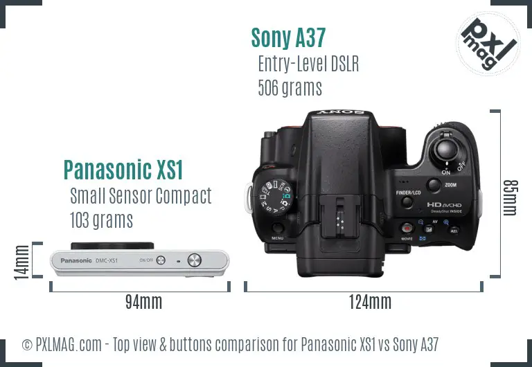 Panasonic XS1 vs Sony A37 top view buttons comparison