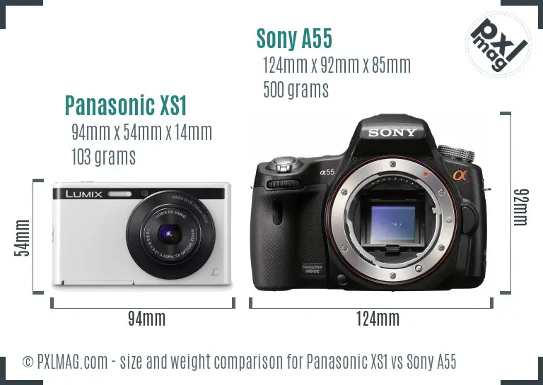 Panasonic XS1 vs Sony A55 size comparison