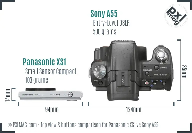 Panasonic XS1 vs Sony A55 top view buttons comparison