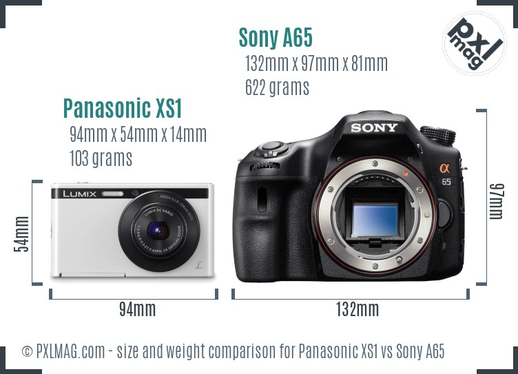 Panasonic XS1 vs Sony A65 size comparison Panasonic XS1 vs Sony A65 size comparison