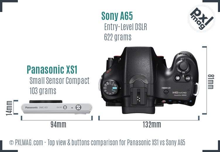 Panasonic XS1 vs Sony A65 top view buttons comparison