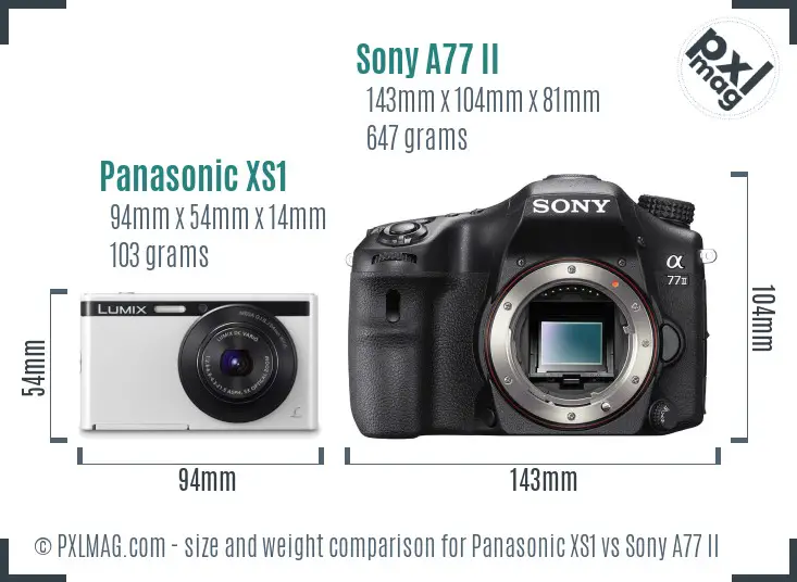 Panasonic XS1 vs Sony A77 II size comparison
