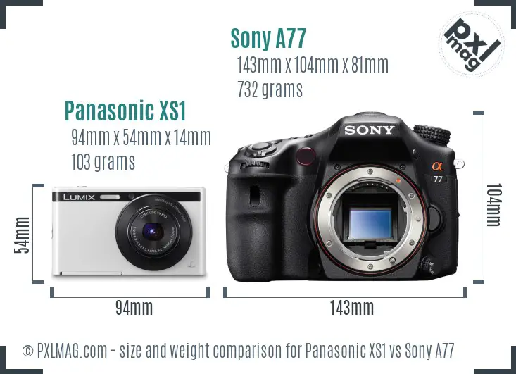 Panasonic XS1 vs Sony A77 size comparison Panasonic XS1 vs Sony A77 size comparison
