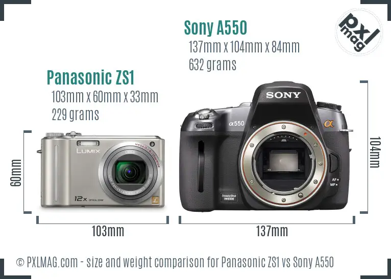 Panasonic ZS1 vs Sony A550 size comparison