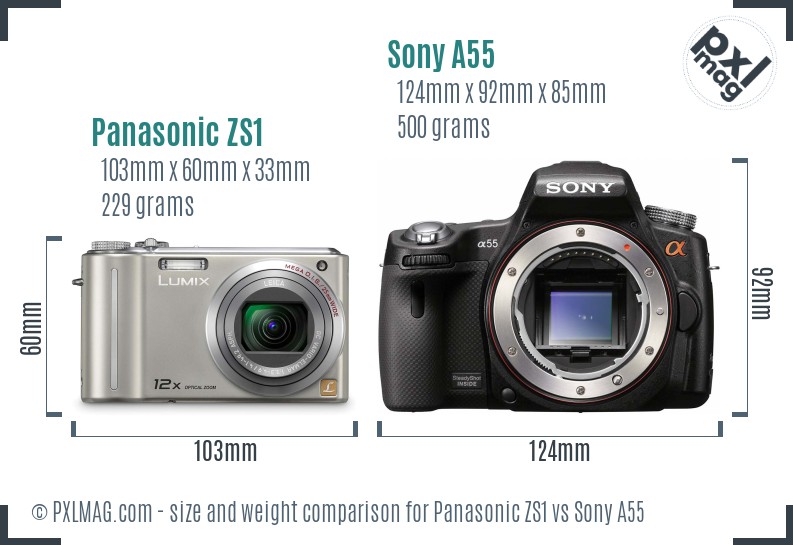 Panasonic ZS1 vs Sony A55 size comparison