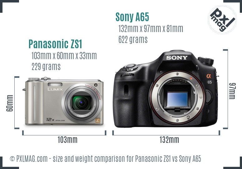 Panasonic ZS1 vs Sony A65 size comparison