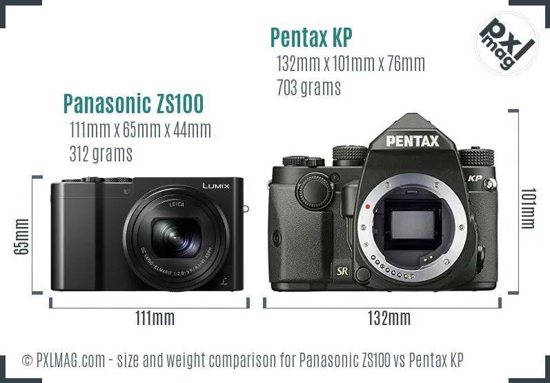 Panasonic ZS100 vs Pentax KP size comparison