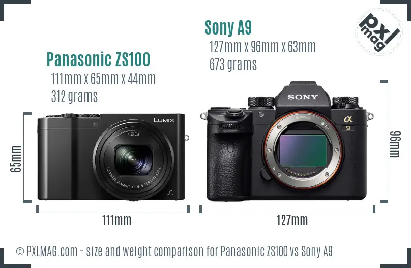 Panasonic ZS100 vs Sony A9 size comparison