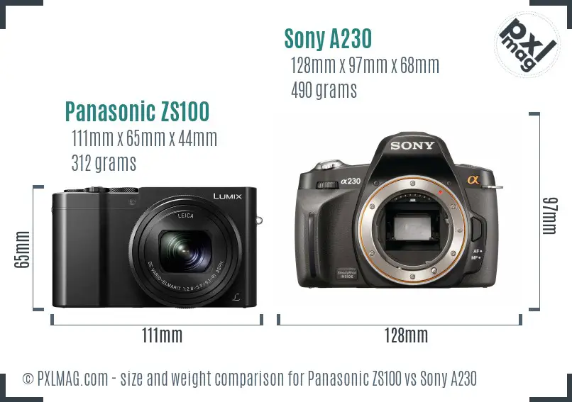 Panasonic ZS100 vs Sony A230 size comparison