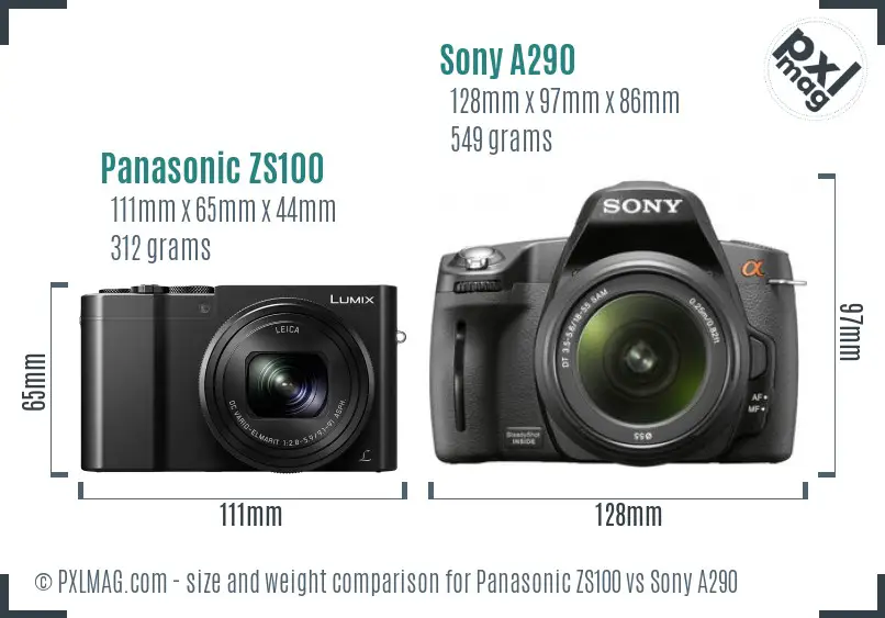 Panasonic ZS100 vs Sony A290 size comparison