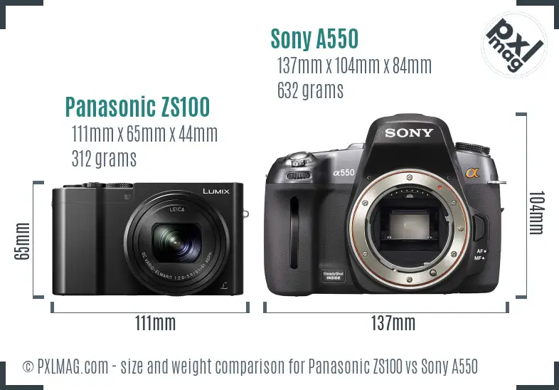 Panasonic ZS100 vs Sony A550 size comparison