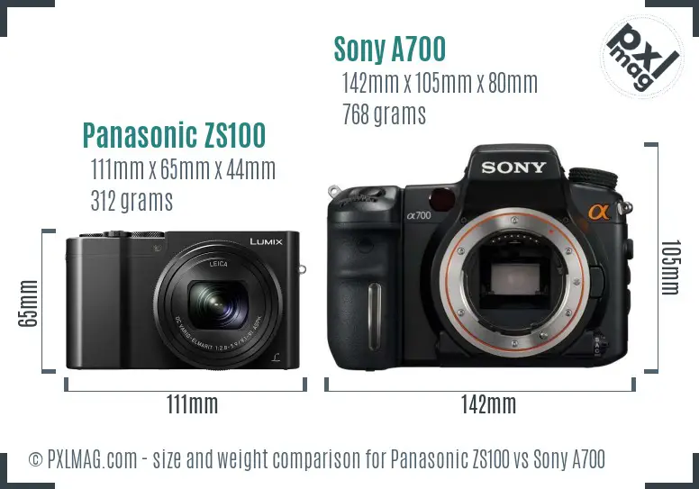 Panasonic ZS100 vs Sony A700 size comparison