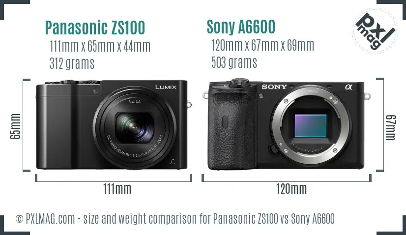 Panasonic ZS100 vs Sony A6600 size comparison