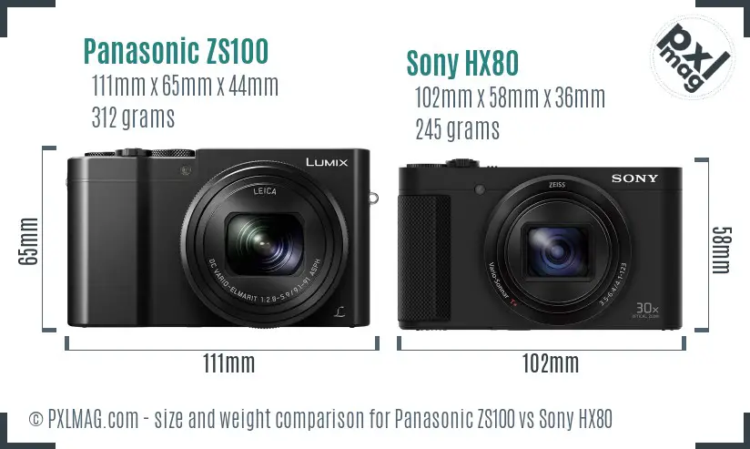 Panasonic ZS100 vs Sony HX80 size comparison