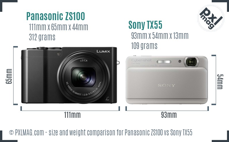 Panasonic ZS100 vs Sony TX55 size comparison