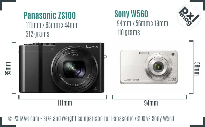 Panasonic ZS100 vs Sony W560 size comparison