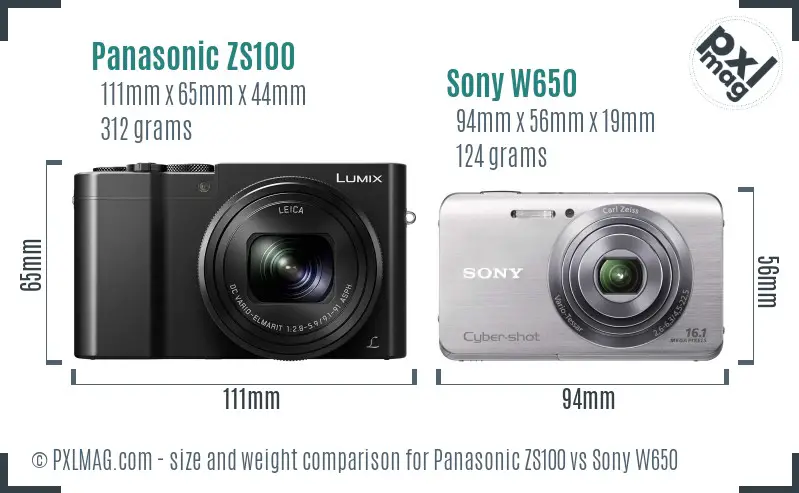 Panasonic ZS100 vs Sony W650 size comparison