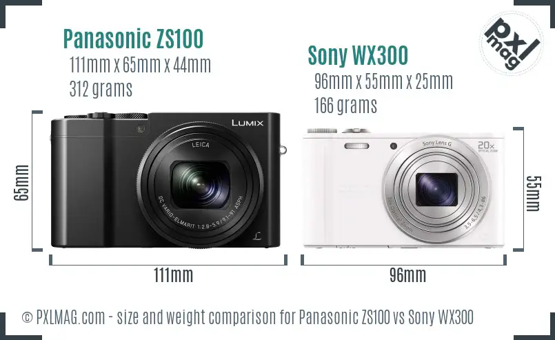 Panasonic ZS100 vs Sony WX300 size comparison