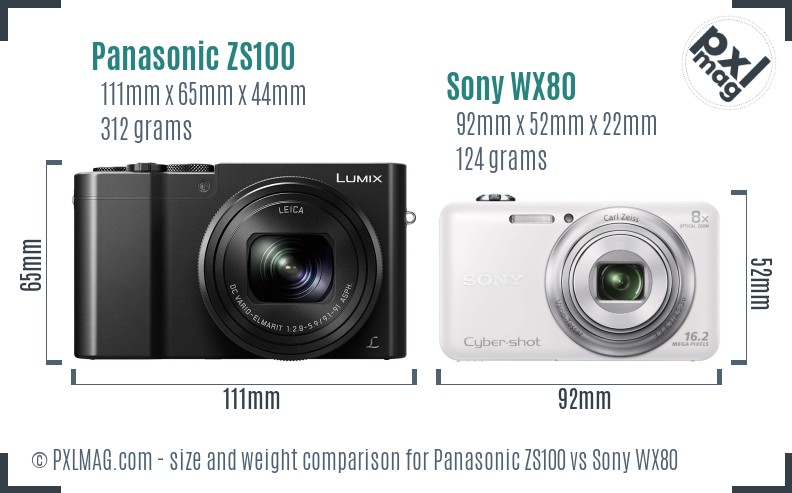 Panasonic ZS100 vs Sony WX80 size comparison
