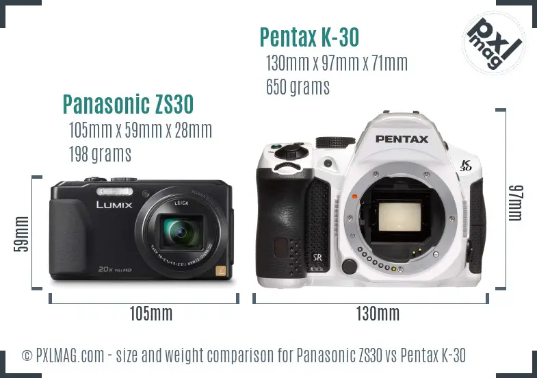 Panasonic ZS30 vs Pentax K-30 size comparison