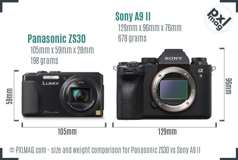 Panasonic ZS30 vs Sony A9 II size comparison